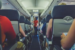Flight Attendant Cover Letter Examples & Writing Tips