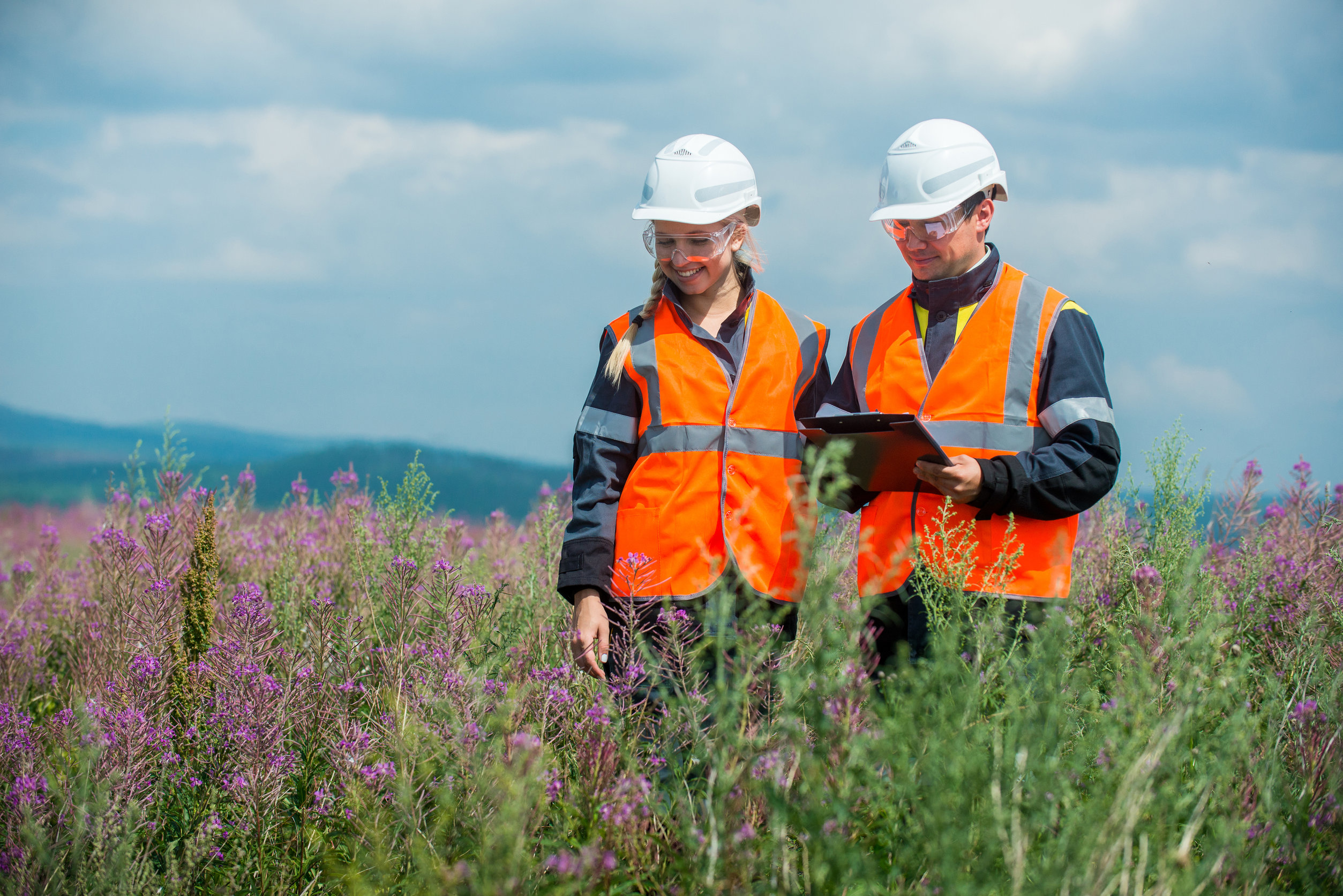 cover letter environmental scientist